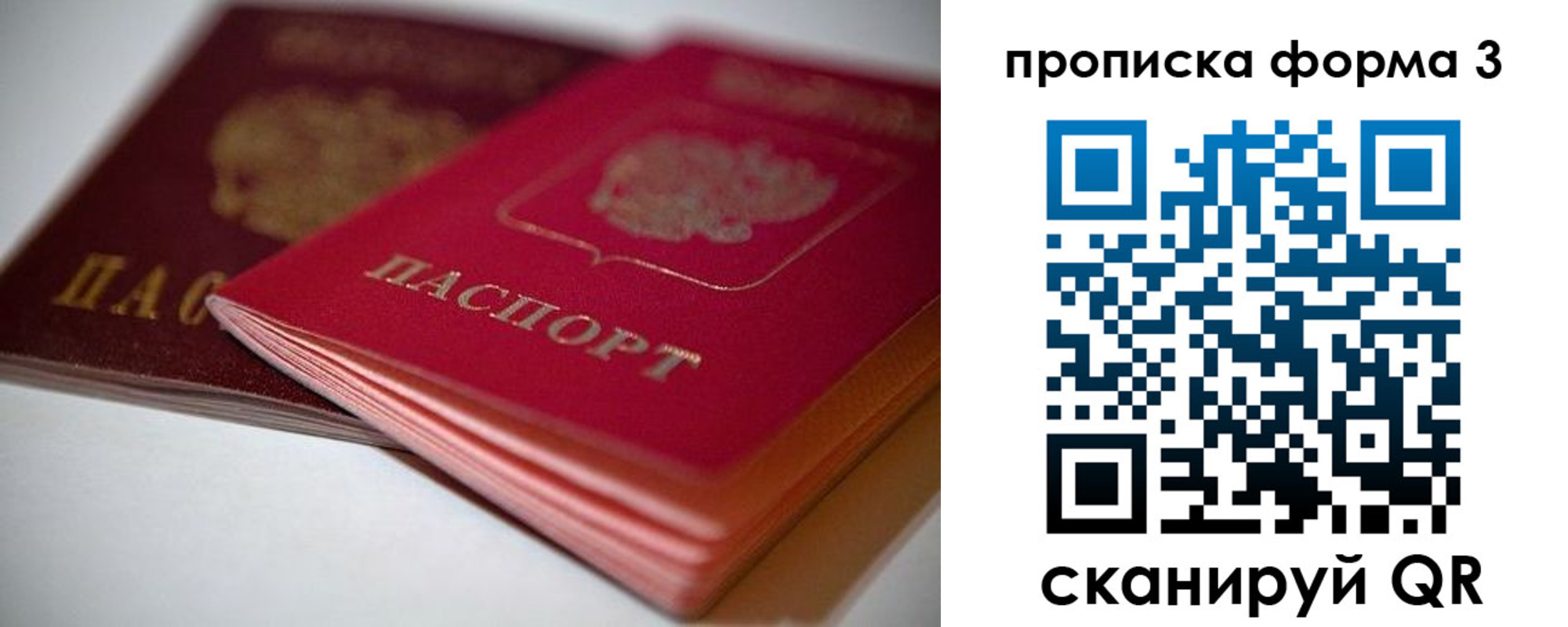 временная регистрация надежно в Опочке